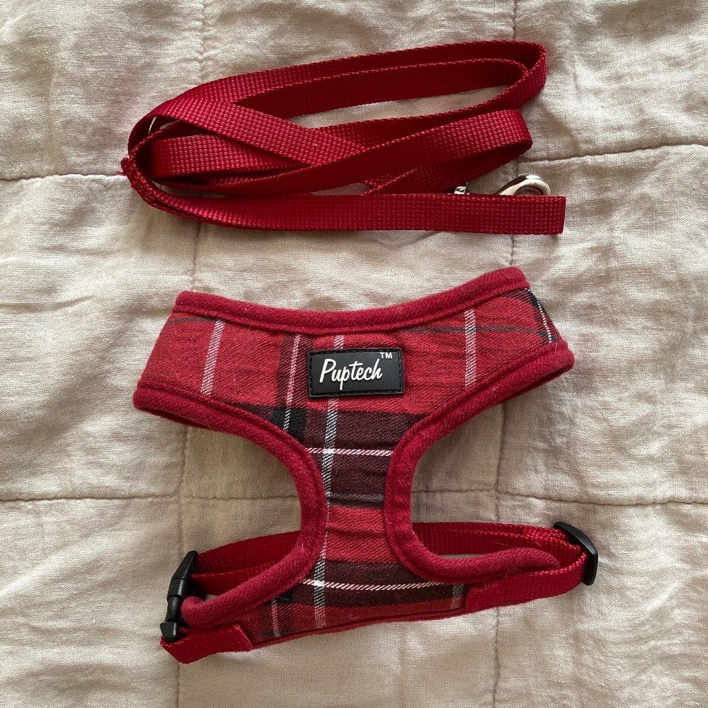 PUPTECK Soft Mesh Dog Harness and Leash Set